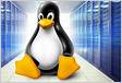 O Linux é um sistema operacional multitarefa e multiusuár